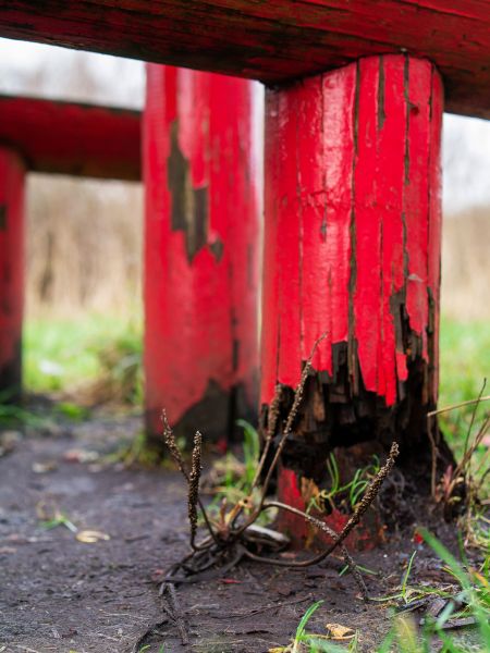 Cost of Rotten Column Replacement in Evergreen